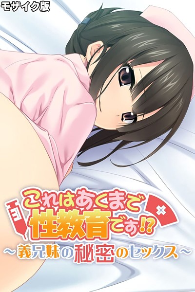 これはあくまで性教育です！？ 〜義兄妹の秘密のセックス〜 モザイク版