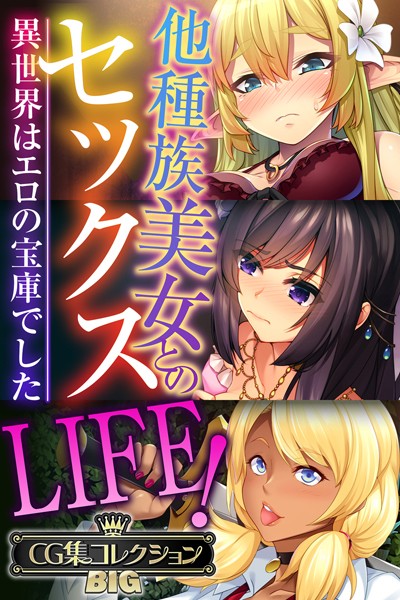 他種族美女とのセックスLIFE！ 〜異世界はエロの宝庫でした〜【CG集コレクションBIG】