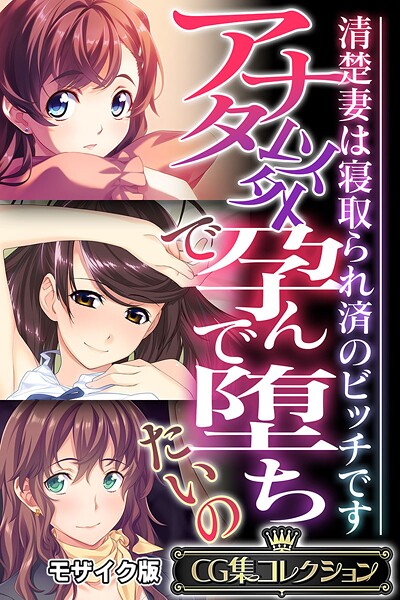 アナタ以外で孕んで堕ちたいの 〜清楚妻は寝取られ済のビッチです〜【CG集コレクション】 モザイク版