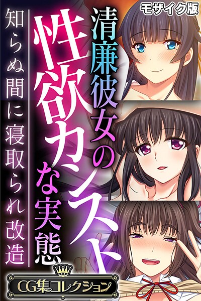 清廉彼女の性欲カンストな実態 〜知らぬ間に寝取られ改造〜【CG集コレクション】 モザイク版