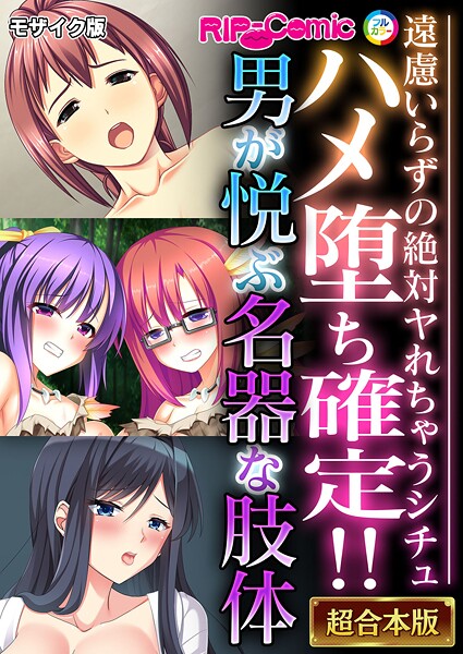 超合本シリーズ モザイク版